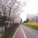 금전2교 이미지