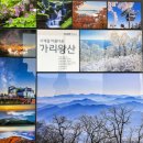 정선1박2일(가리왕산 케이블카, 백두대간생태수목원, 옥산장 돌이야기, 정선레일바이크, 수리취떡, 대성...