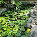 맛점시대 이미지