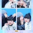 펠레레코(pelleleco)