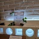 포항시북구89 | 포항 양식집 추천! 가족식사로 좋은 올리앤 포항점 후기