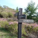 운봉읍 산덕마을 이미지