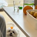 연희종로약국 이미지