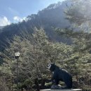 베틀 | 강원 동해 2월 두타산 베틀바위 등산 후기