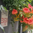 등짝 스매싱 이미지