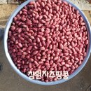 참원