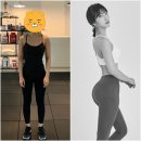 펄슨피티 이미지