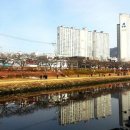 온천천변길 이미지
