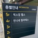 직원이지만 필라테스는 처음! 진주시청 언니네필라테스 캐포머 수업 리얼후기