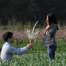 빅토리농장 이미지