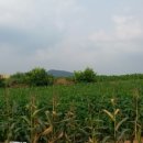 다솔마루 이미지