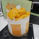 대전 성심당 망고시루 존맛 케익부티끄 주차 웨이팅 후기