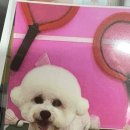 김쪼꼬미용실 이미지