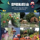 호박라이브 이미지
