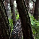 백전농장 이미지