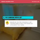 라핌 코리빙하우스 이미지