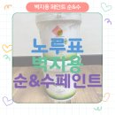 노루표가구 | 노루표 순&수 벽지용 페인트 후기 칠했다가 나중에 떼어낼 수 있다고?