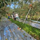 막골농장 이미지