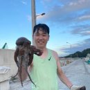 동박새우는집 이미지