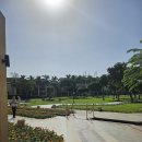 139 | 이집트여행 기자 피라미드뷰 맛집 파빌리온139 메리어트 메나하우스 예약 및 솔직후기