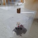 멍소담 네이버블로그