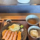 카츠닉 이미지
