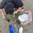 부산 강서구 아이랑 놀기 좋은곳 명지 소담공원 갯벌 체험 후기(주차 꿀팁, 준비물)