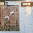 머물다 스테이 | 제주 서쪽 숙소 10만원대 선셋이 예쁜 한경 스테이놀