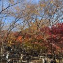 순환로 405번길 이미지