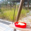 [행복대학] 도시락 선물 이미지