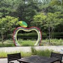 성주(창원)휴게소한식 | 충주휴게소 창원방향 하행 사과돈까스 내돈내산 솔직후기 - 주차, 가격, 특산물