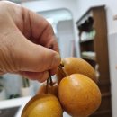 카타리나부엌 이미지