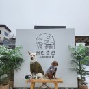 서린춘천 이미지