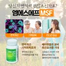 엠에스에프 - 하남시 조정대로 35 | 엠에스에프