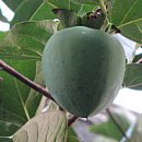 범어도서관 이미지