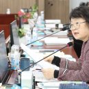 한국고양이혈액센터 이미지