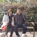 기쁨투어 이미지