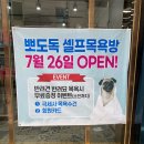 뽀도DOG 이미지