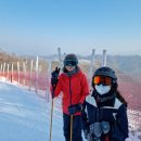 짐나지움 리틀 & 스위머스 탄 이미지