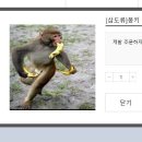 갤러리피시방 이미지