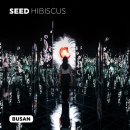 아르떼뮤지엄부산 이미지