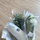 스피라드(Spiorad) 이미지
