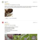 주식회사 명품