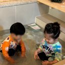 여울채민박 이미지