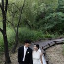 이와이스튜디오 이미지