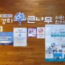 경희한나무한의원 티스토리