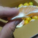 제주조아농수산