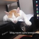 옛날수제튀김&김밥 이미지