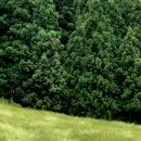 천마목장 이미지