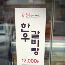 철마우림